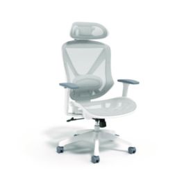 Dexley Mesh Task Chair, Supports Up to 275 lb, 16.61" to 20.31" Seat Height, Gray Seat, Gray Back, White Base