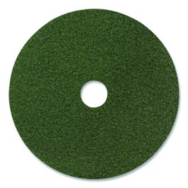 Black Diamond 3000 Grit Diamond Pad, 20" Diameter, Black/Green, 2/Carton