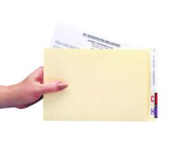 Compact File Pocket, Top Tabs, Manila, 100/Box