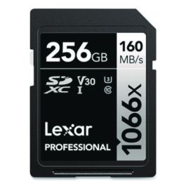 Professional SILVER Series SDXC Memory Card, UHS-I V30 U1 Class 10, 256 GB