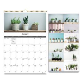 12-Month Wall Calendar, Succulent Plants Photography, 12 x 17, White/Multicolor Sheets, 12-Month (Jan to Dec): 2025