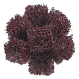 Standard Abrasives™ Buff and Blend Cross Buff GP, 725001, A/O Medium, 1-1/2 in x 1/2 in x 3 Ply x 8-32, 50/Carton, 500 ea/Case