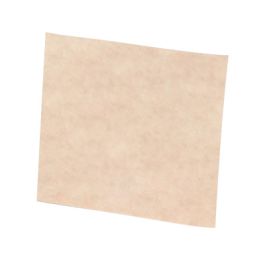 Scotch-Brite™ Clean and Finish Sheet, 6 in x 9 in T, 50 ea/Case