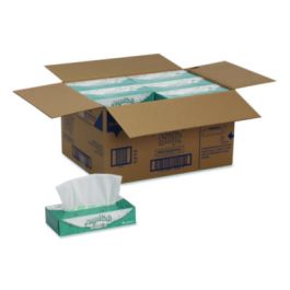 Premium Facial Tissues in Flat Box, 2-Ply, White, 100 Sheets, 30 Boxes/Carton