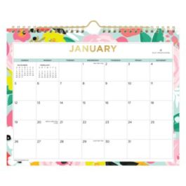 Day Designer Secret Garden Mint Monthly Wall Calendar, Floral Artwork, 11 x 8.75, Multicolor Sheets, 12-Month (Jan-Dec): 2025