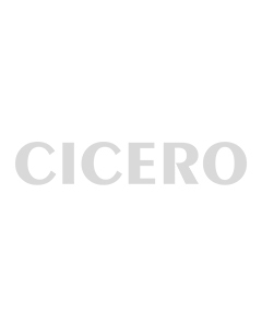 0-6" Heavy Duty C-Clamp/Copper Spindle