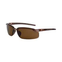 ES5 Brown/Brown Polarized 291113